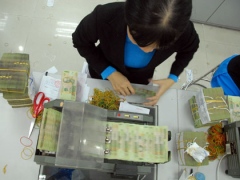 bank