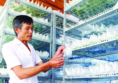 Hi-tech farmers in Da Lat, IT news, sci-tech news, vietnamnet bridge, english news, Vietnam news, news Vietnam, vietnamnet news, Vietnam net news, Vietnam latest news, Vietnam breaking news, vn news