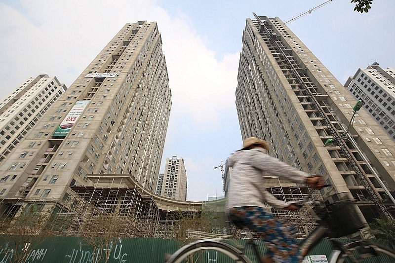 opportunities for newcomers