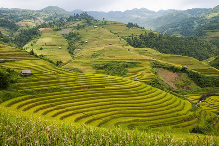 Yen Bai, an alluring destination in the northwest, travel news, Vietnam guide, Vietnam airlines, Vietnam tour, tour Vietnam, Hanoi, ho chi minh city, Saigon, travelling to Vietnam, Vietnam travelling, Vietnam travel, vn news Yen Bai, an alluring destination in the northwest, travel news, Vietnam guide, Vietnam airlines, Vietnam tour, tour Vietnam, Hanoi, ho chi minh city, Saigon, travelling to Vietnam, Vietnam travelling, Vietnam travel, vn news