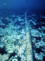 Undesea cable