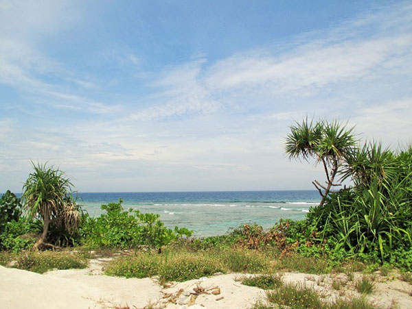 Ly Son Island, An Binh Islands, boat