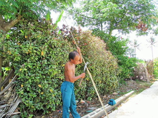 Ly Son Island, An Binh Islands, boat