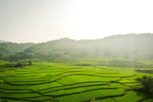 Hoa Binh City, Ngoc Son-Ngo Luong Nature Reserve, Vietnam economy, Vietnamnet bridge, English news about Vietnam, Vietnam news, news about Vietnam, English news, Vietnamnet news, latest news on Vietnam, Vietnam