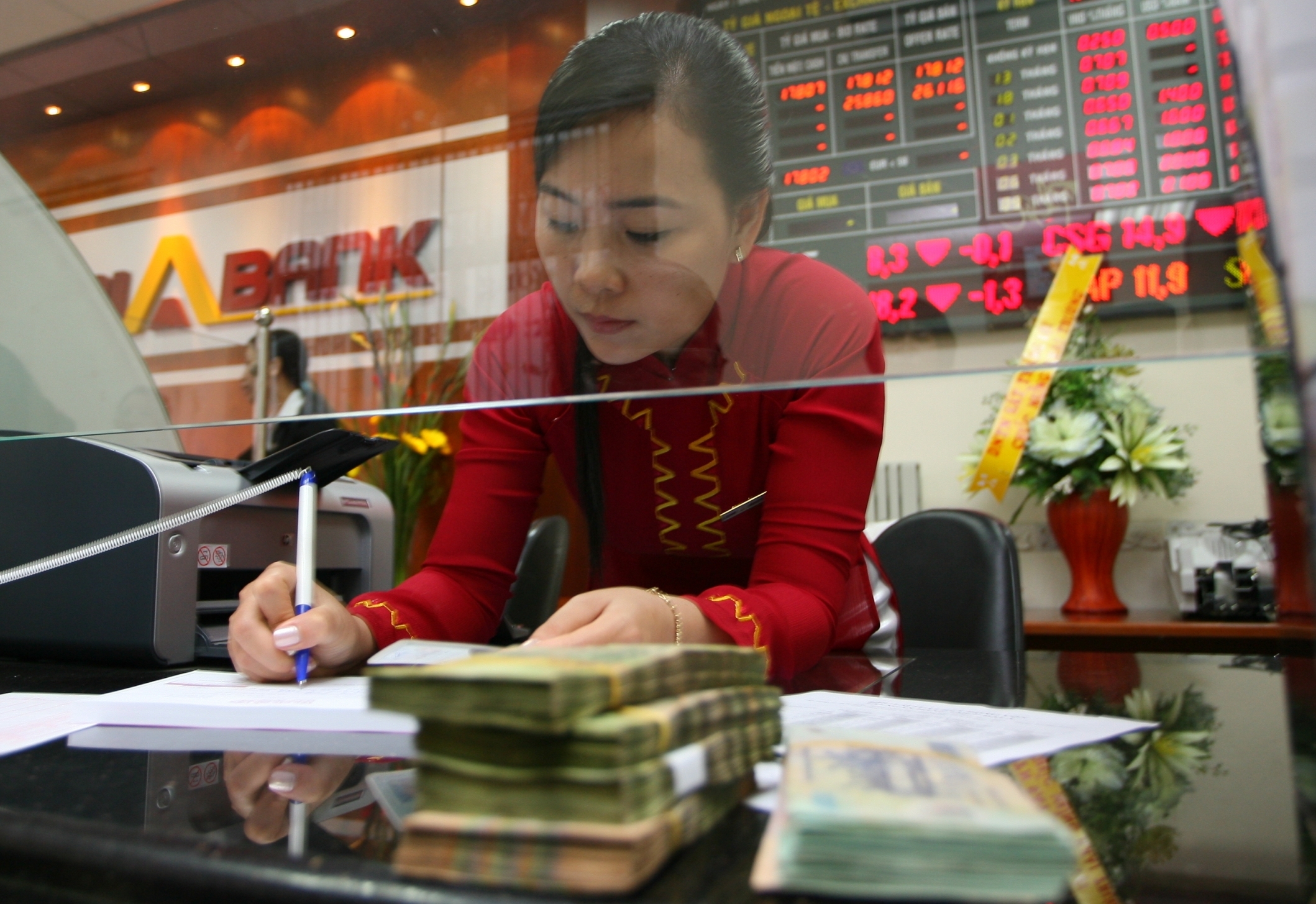 Vietnam Financial Sector Forecast to 2013 RNCOS