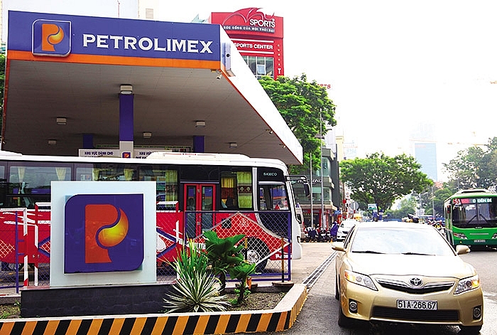 reaching soe equitisation goals