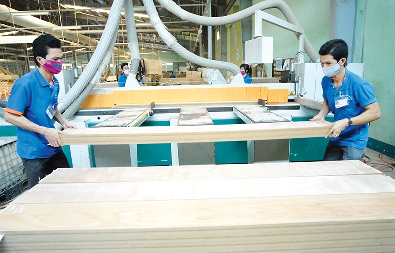 Strategic market identification sought for stronger wood trade - Vimarsana News