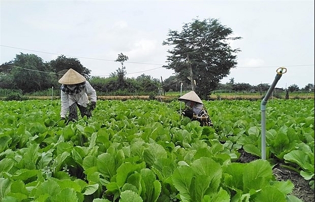 Tien Giang invests 650,000 USD in irrigation projects along coastal districts - Vimarsana News