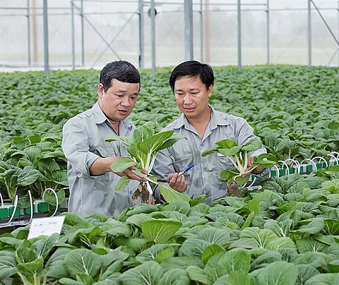 hanoi seeks investment for 11 farming projects