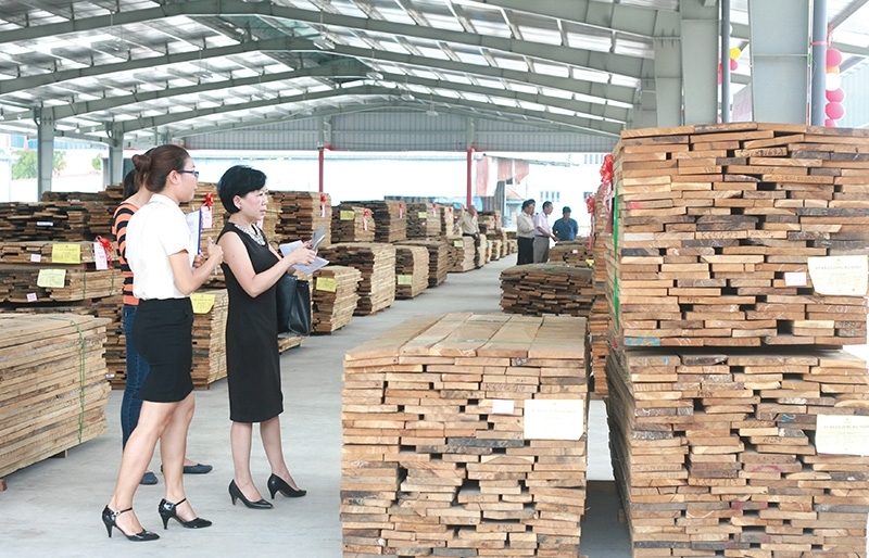 Balancing act required for open wood industry - Vimarsana News
