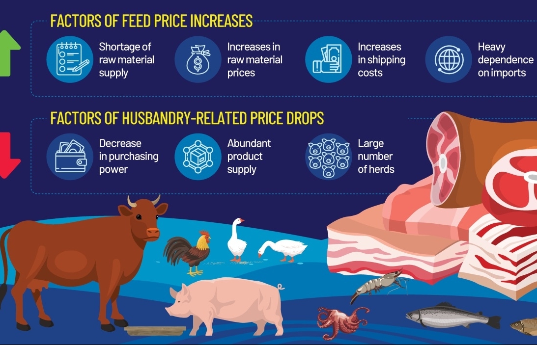 Rich get richer in feed game as farmers toil over costs - Vimarsana News