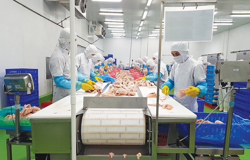 Meat and dairy exporters up capacity to challenge rivals - Vimarsana News