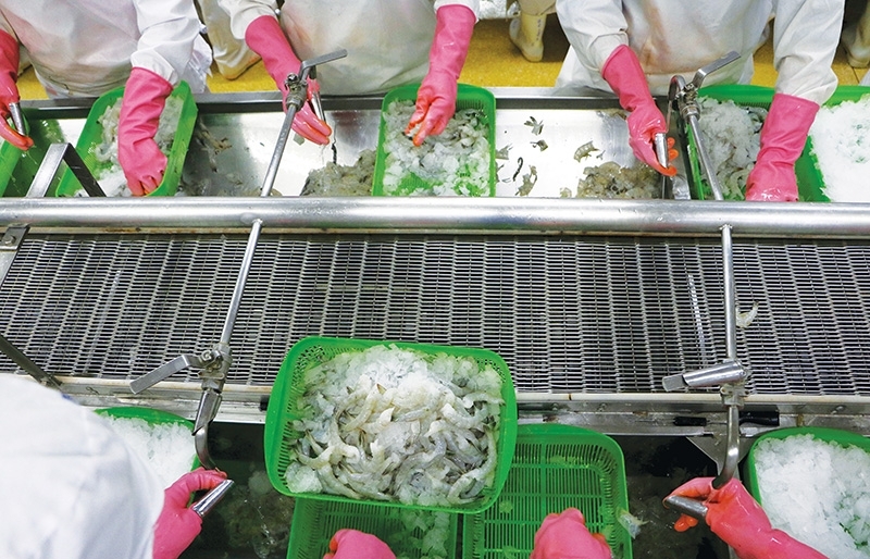 Seafood exports to glide in shallow waters - Vimarsana News