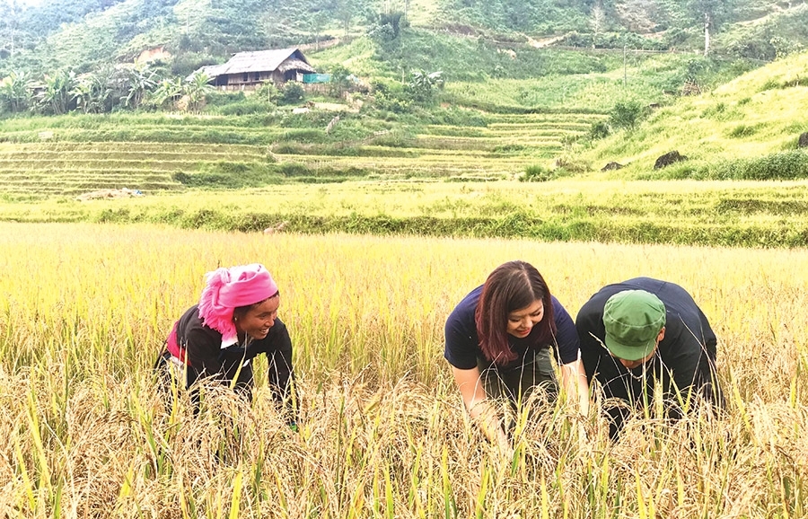 Vietnam's tourism ready to recover in 2021 - Vimarsana News