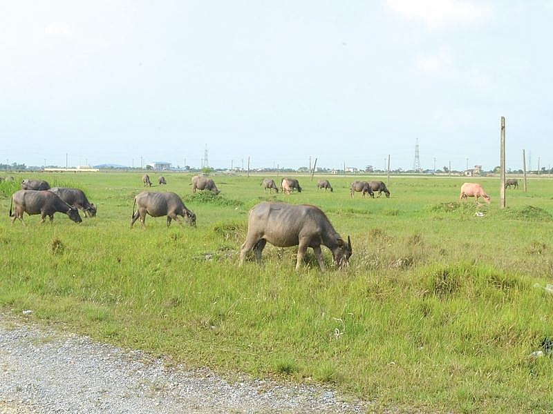 my trung industrial park backlog of vinashin