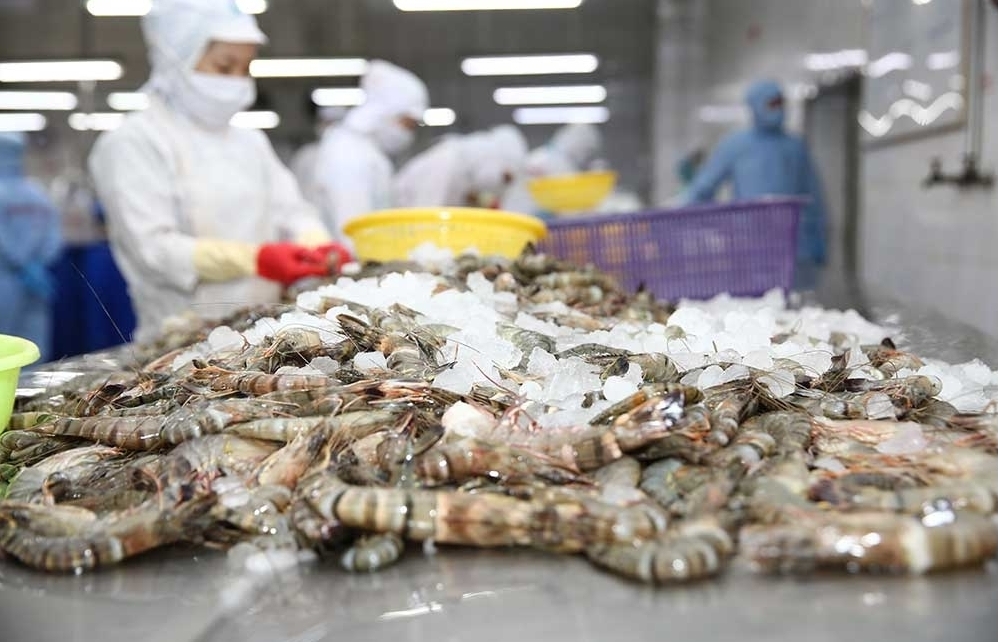 US removes anti-dumping tax on Minh Phu shrimp - Vimarsana News