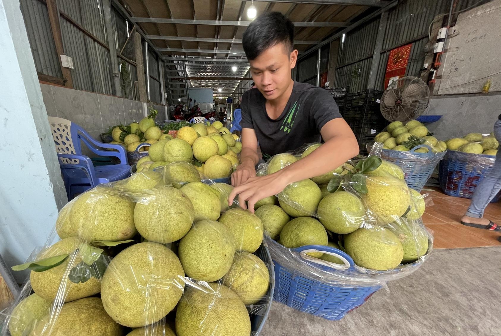 Leverage for Vietnam"s agricultural products to take off - Vimarsana News