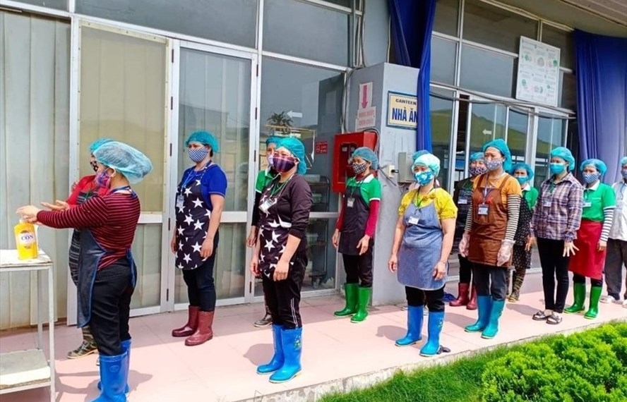 Enterprises in southern industrial zones take fight to COVID-19 pandemic - Vimarsana News