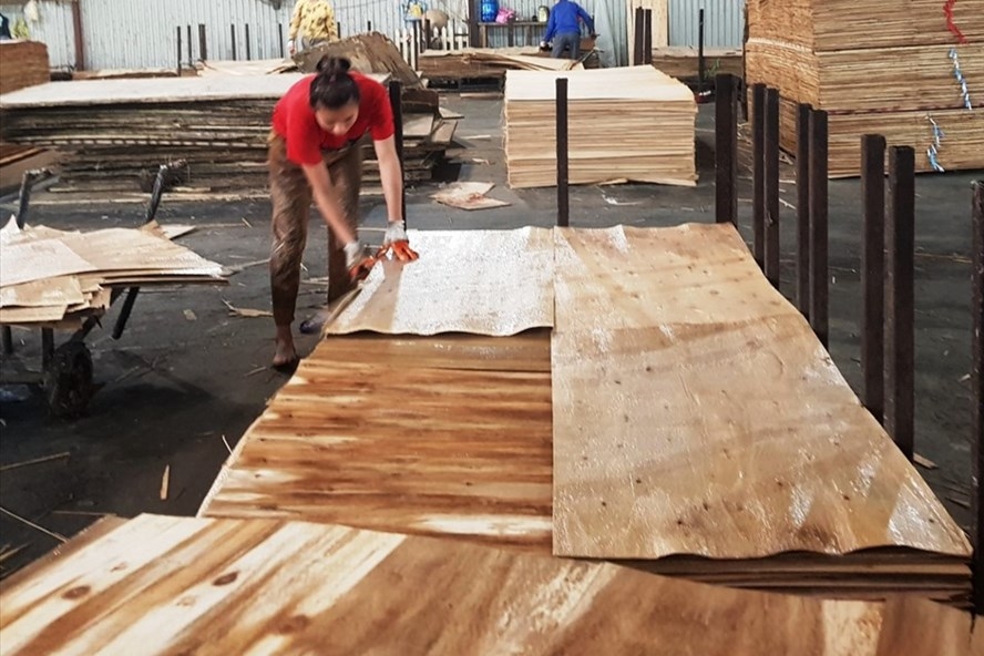 Vietnamese Plywood Branch wants to recheck the export of veneer products - Vimarsana News